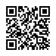 QR Code (код быстрого отклика)