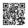 QR Code (код быстрого отклика)