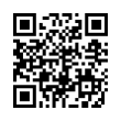 QR Code (код быстрого отклика)