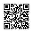 QR Code (код быстрого отклика)