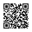 QR Code (код быстрого отклика)