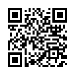 QR Code (код быстрого отклика)